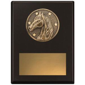 Challenge Plaque - Horse