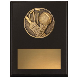 Challenge Plaque - Cricket