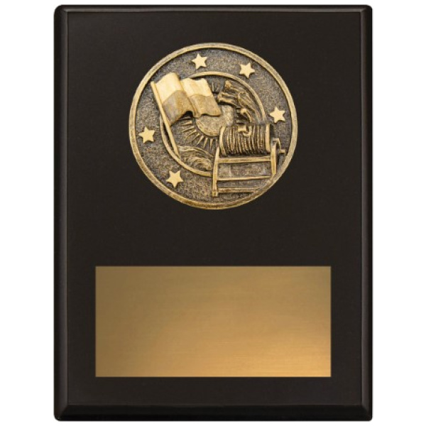 Challenge Plaque - Lifesaving