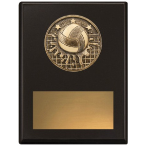 Challenge Plaque - Water Polo