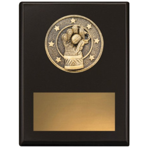 Challenge Plaque - Wicketkeeping