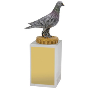 Pigeon Budget Crystal