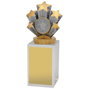 Achievement Budget Crystal