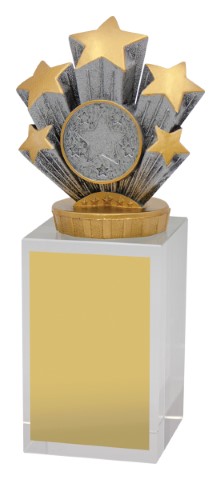 Achievement Budget Crystal