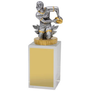 Rugby Budget Crystal