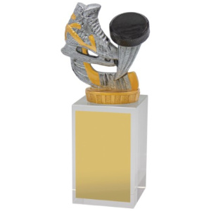 Ice Hockey Budget Crystal