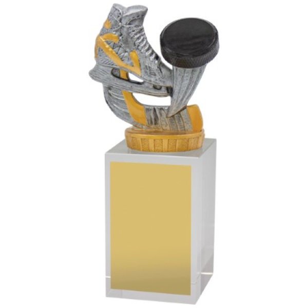 Ice Hockey Budget Crystal
