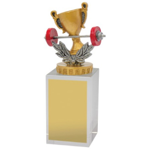 Fitness Budget Crystal