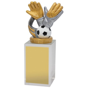 Goalie Budget Crystal