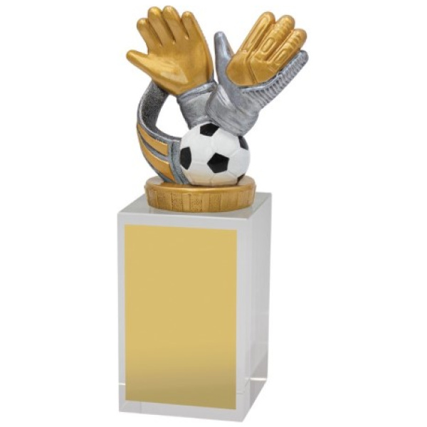 Goalie Budget Crystal