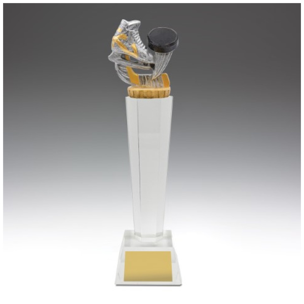 Ice Hockey Crystal