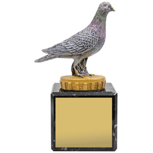 Pigeon Marble