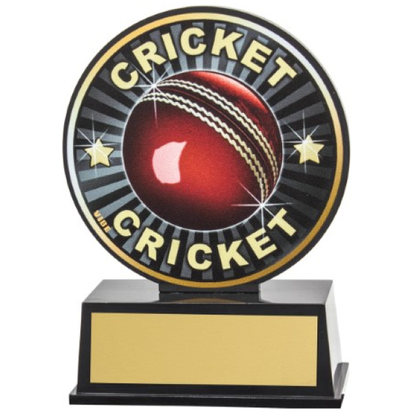 Vibe Cricket