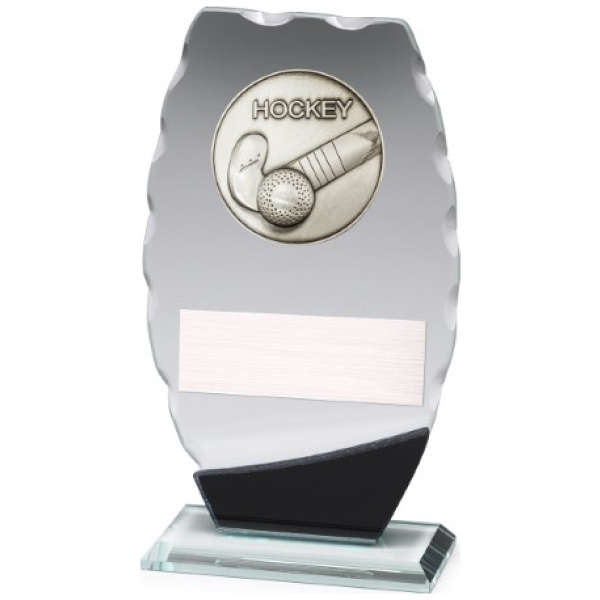 Clipped Oval Glass - Hockey