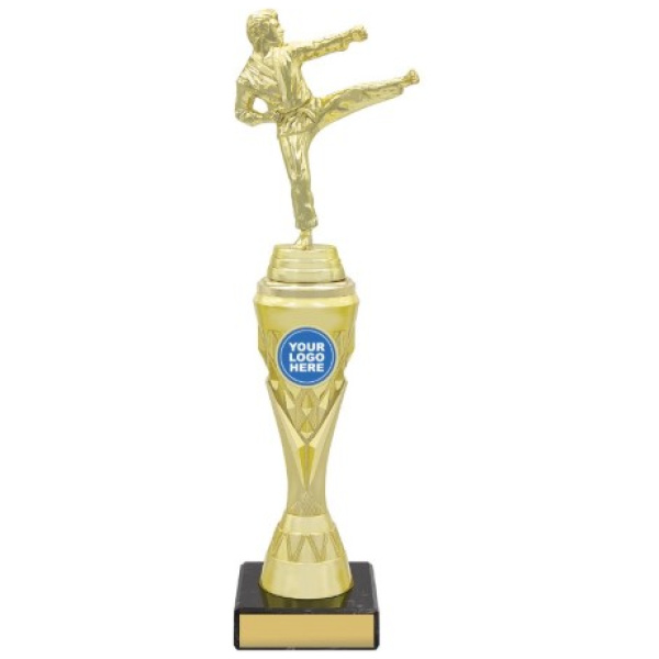 Karate Gold Vector