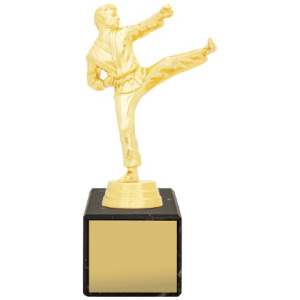 Marble Column - Male Karate