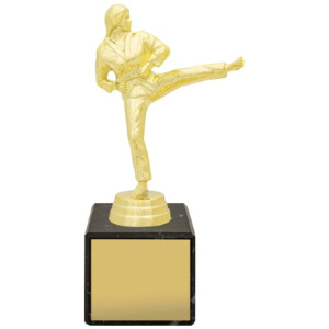 Marble Column - Female Karate