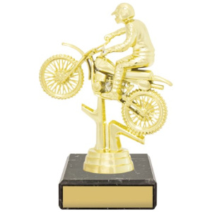 Figure Trophy - Motocross