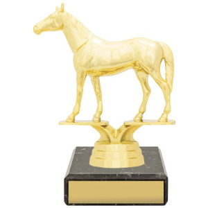 Figure Trophy - Thoroughbred
