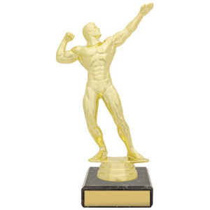 Figure Trophy - Bodybuilder