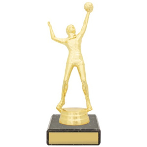 Figure Trophy - Male Volleyball