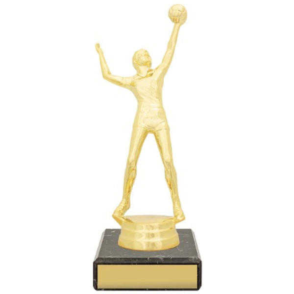 Figure Trophy - Male Volleyball