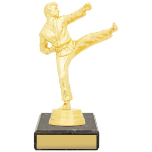 Figure Trophy - Male Karate