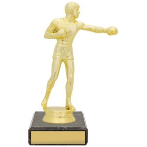 Figure Trophy - Boxing