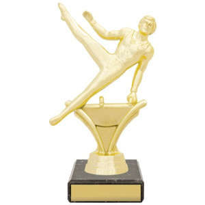 Figure Trophy - Male Gym